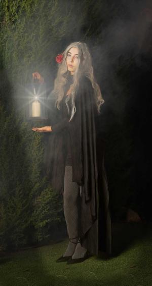 Auteur fotograaf FredVN - 
Bestandsdatum : 10-11-2025