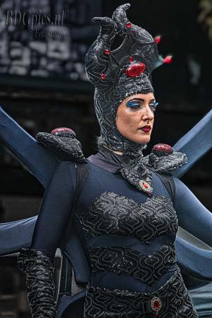 Auteur fotograaf BDGpics - 
Artiest : J.F.Bouwman
Copyright : BDGpics

Camera : SONY DSC-RX10M4
Fotodatum : 01-11-2025