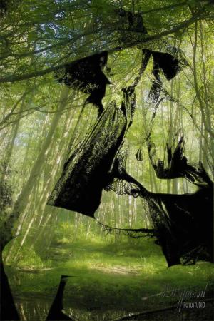 Auteur fotograaf BDGpics - 
Artiest : J.F.Bouwman
Copyright : BDGpics.nl

Camera : Canon Canon EOS 5D Mark IV
Fotodatum : 30-06-2024