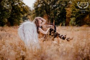 Auteur model Roos - 
Fotodatum : 22-08-2024