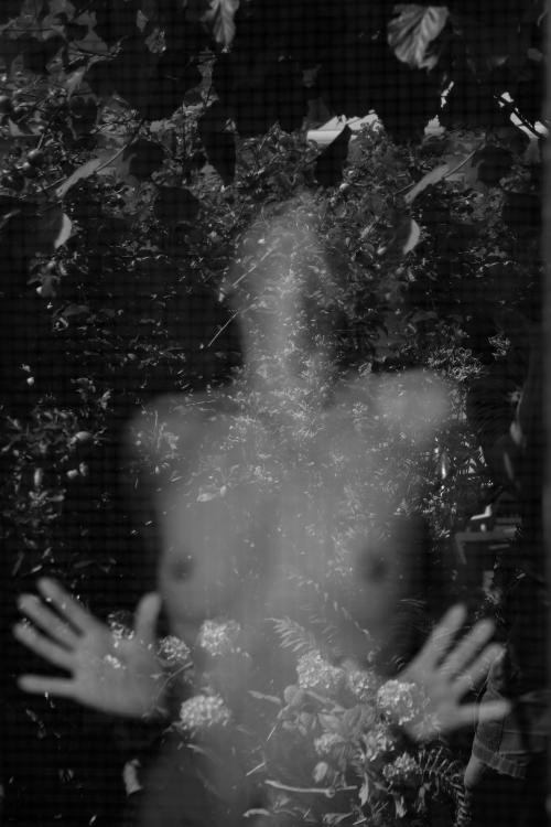 Auteur fotograaf W v d Graaff - 