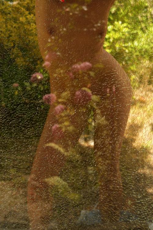Auteur fotograaf W v d Graaff - 