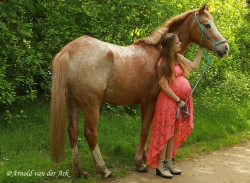 Auteur fotograaf Arnold van der Ark - #zwangerschapsshoot
