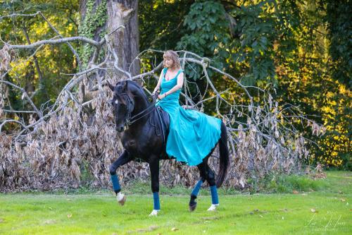 Auteur fotograaf Luc Moors Fotografie - Model met paard
