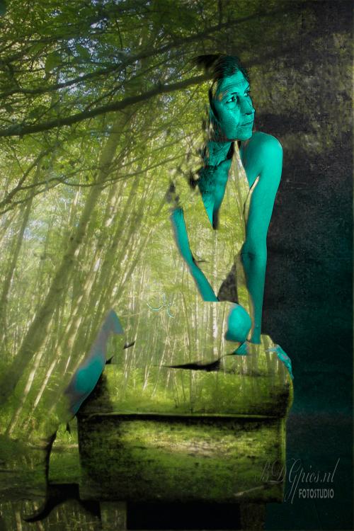 Auteur fotograaf BDGpics - 