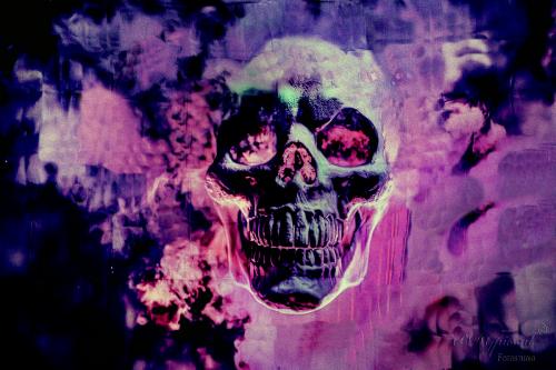 Auteur fotograaf BDGpics - Nieuwe Blacklight achtergrond