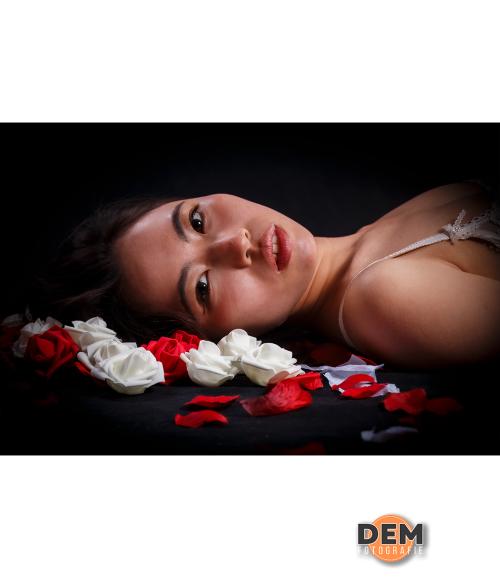 Auteur fotograaf D E Molenaar - 