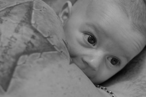 Auteur fotograaf fligic - 