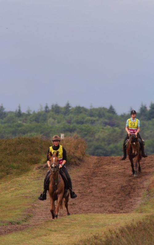 Auteur fotograaf Paardensportfotografie - 