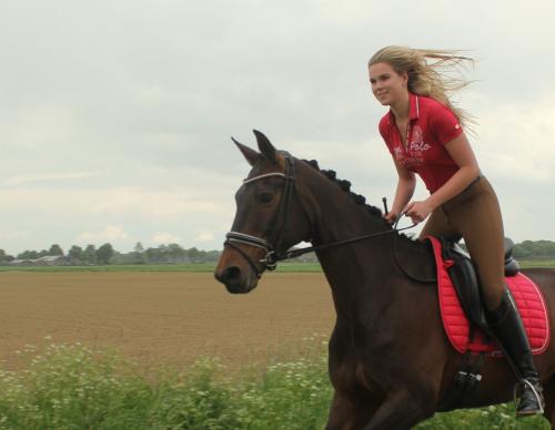 Auteur fotograaf Paardensportfotografie - 