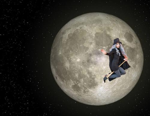 Auteur fotograaf FredVN - 