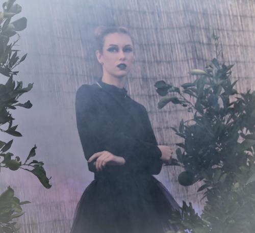 Auteur fotograaf FredVN - 