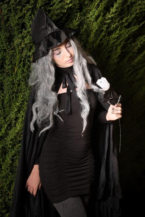 Auteur fotograaf FredVN - 