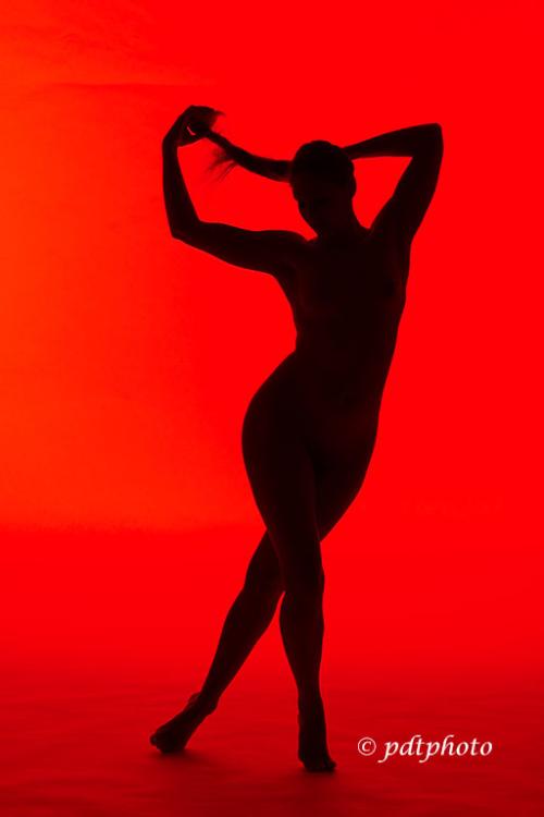 Auteur fotograaf pdtphoto - 