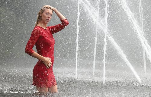 Auteur fotograaf Arnold van der Ark - #fontijn 