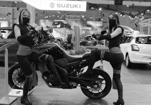 Auteur fotograaf Photo JV - Autosalon Brussel, Suzuki