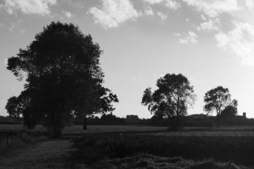 Auteur fotograaf Johan Cnudde - hoe je een landschap creeert