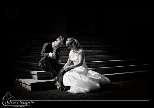 Auteur fotograaf Ellen - 