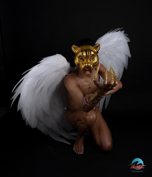 Auteur model Robin - 