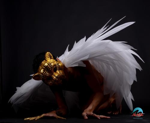 Auteur model Robin - 
