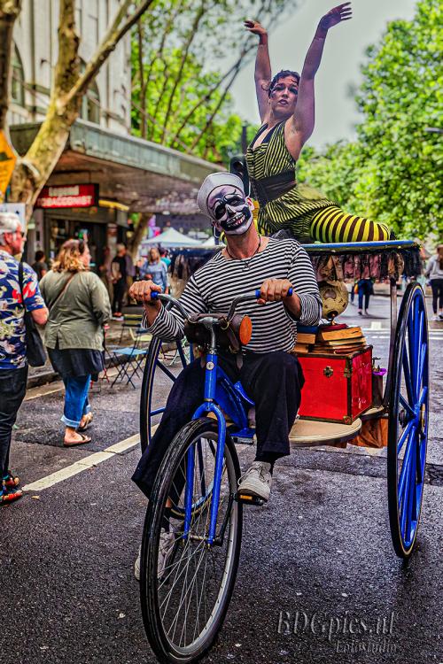 Auteur fotograaf BDGpics - 