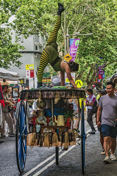 Auteur fotograaf BDGpics - 