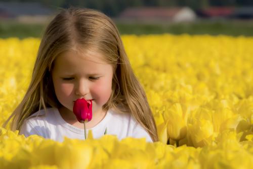 Auteur fotograaf Ray Snider - 