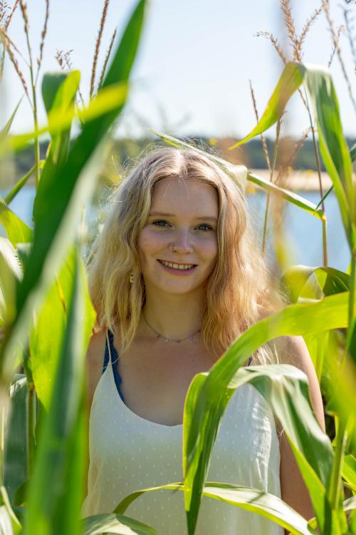 Auteur fotograaf Jacco Timmer Fotografie - Chayenne tussen de mais 