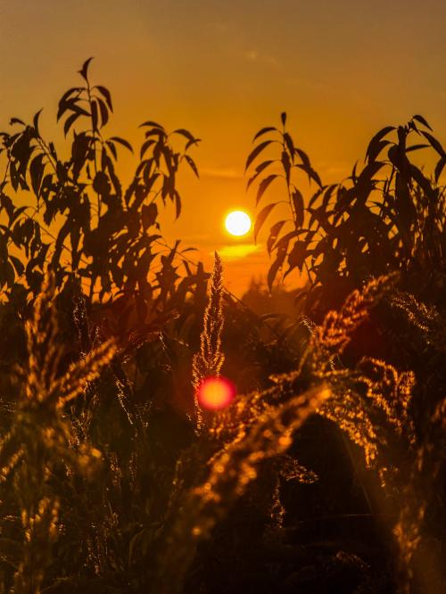 Auteur fotograaf BenjaminPictures - 