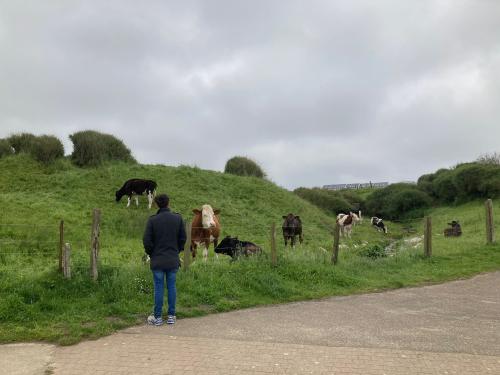 Auteur fotograaf Matthias  - 