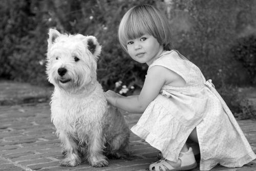 Auteur fotograaf fligic - 