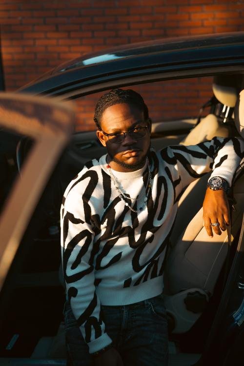 Auteur model Safiero - 