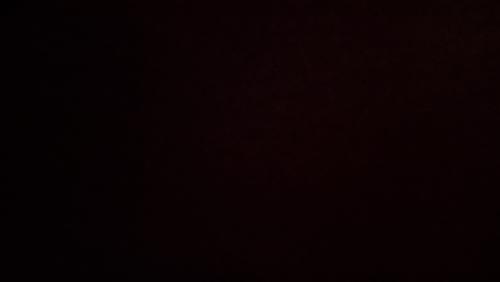 Auteur fotograaf Bertj - 