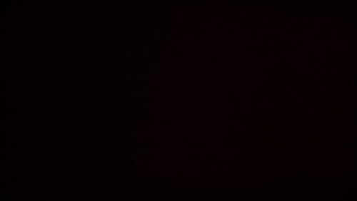 Auteur fotograaf Bertj - 