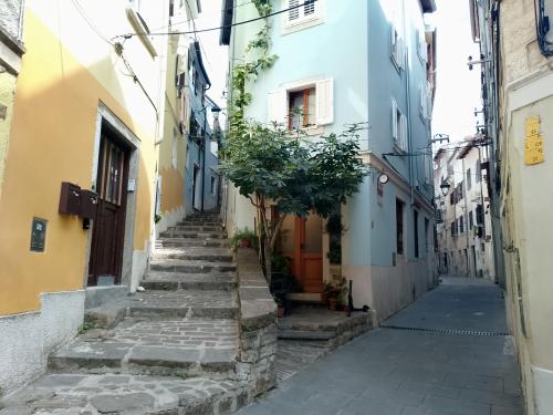 Auteur fotograaf NPXphotography  - 