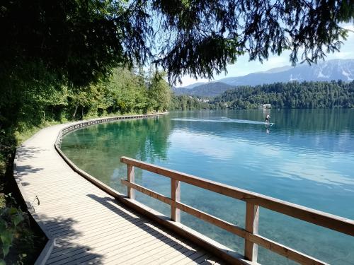 Auteur fotograaf NPXphotography  - 