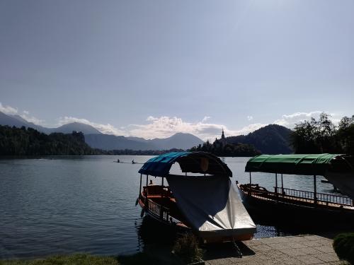 Auteur fotograaf NPXphotography  - 