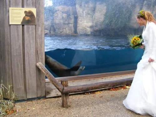 Auteur fotograaf SMADdie86 - Bruiloft, fotos in Blijdorp gemaakt