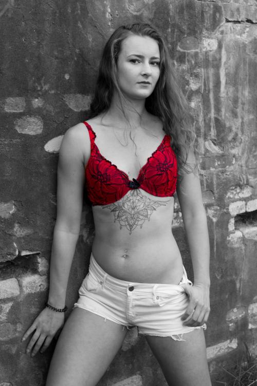 Auteur fotograaf Fotodier - 