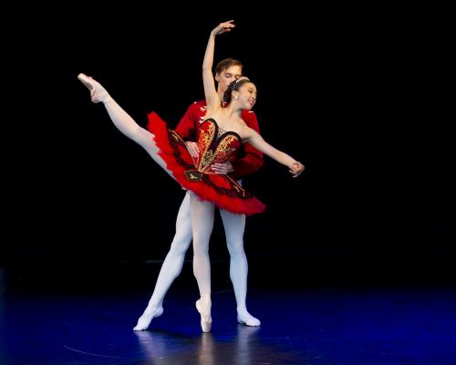 Auteur fotograaf Onno Veerman - Ballet in het Vondelpark