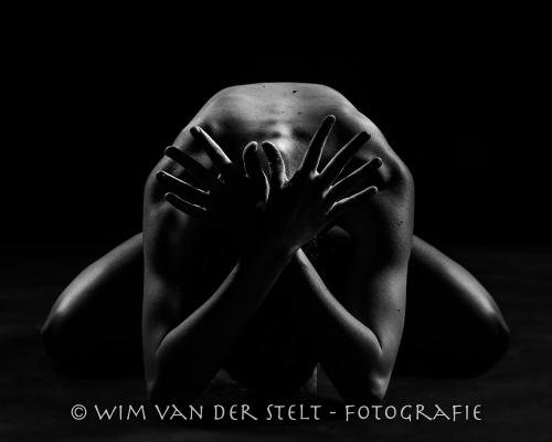 Auteur fotograaf Wim van der Stelt - 