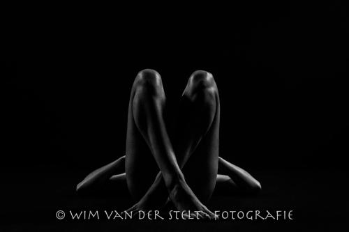 Auteur fotograaf Wim van der Stelt - 