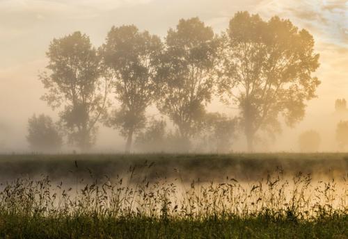 Auteur fotograaf Nico Van Gelder - 