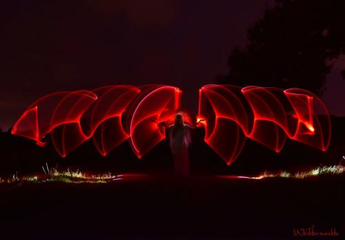 Auteur fotograaf Wedderweelde - Lightpainting