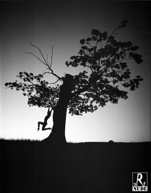 Auteur fotograaf Artnude World - The Lonely Tree
