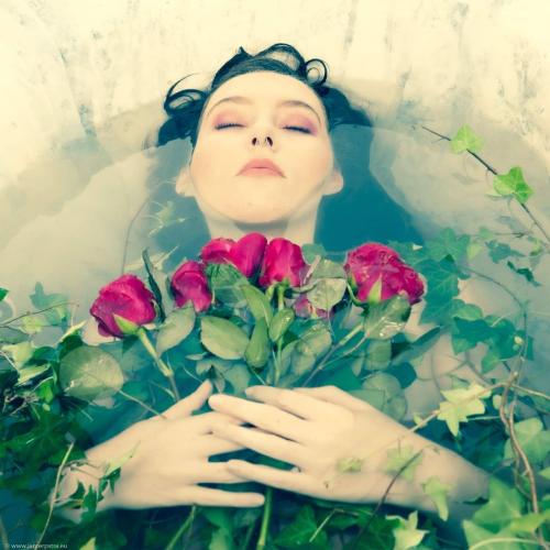 Auteur model Dana - 